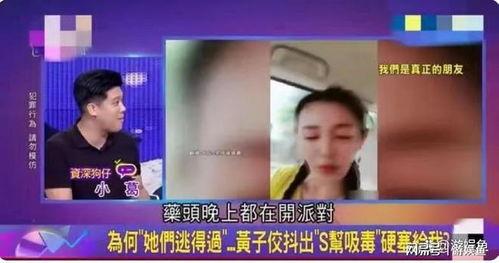 黄姓男明星爆料视频大全,揭秘娱乐圈幕后真相  第3张