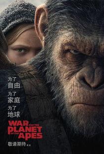猩球崛起在线观看免费,重燃自由之战——在线免费观看,探索猿类革命传奇 第1张 猩球崛起在线观看免费,重燃自由之战——在线免费观看,探索猿类革命传奇 第1张
